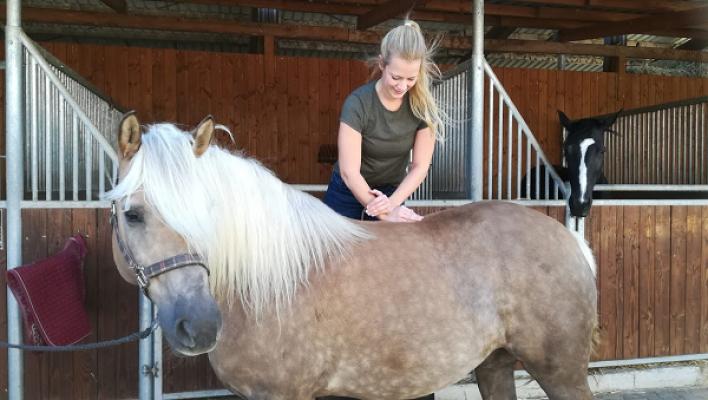 Tierärztliche Praxis für Chiropraktik Annkatrin Schäfer