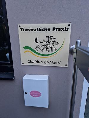 Chaldun El-Masri