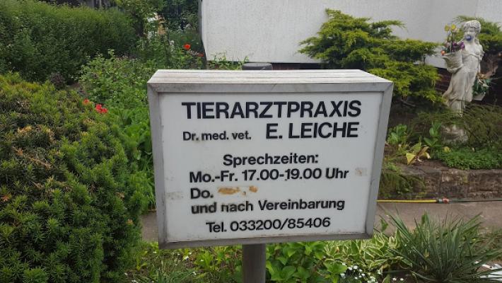 Dr.med.vet. Erwin Leiche Tierarzt