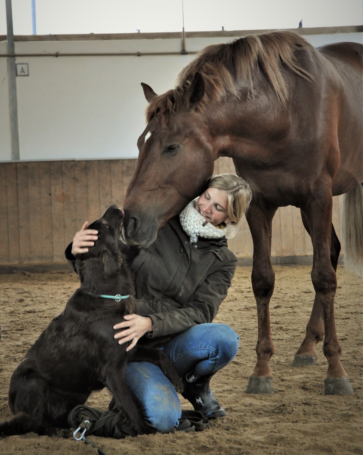 Tierarzt Jennifer Liebmann VeTherapy GmbH