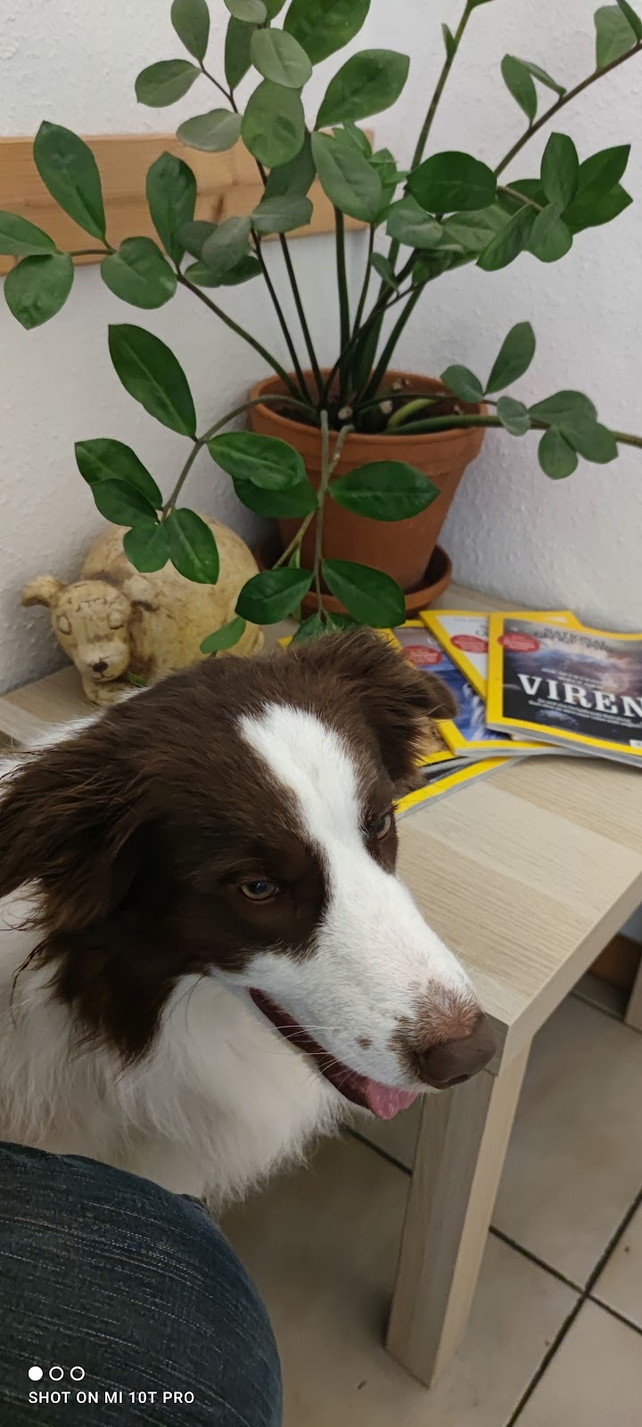Kleintierpraxis Dr. med. vet. Jutta Nölke