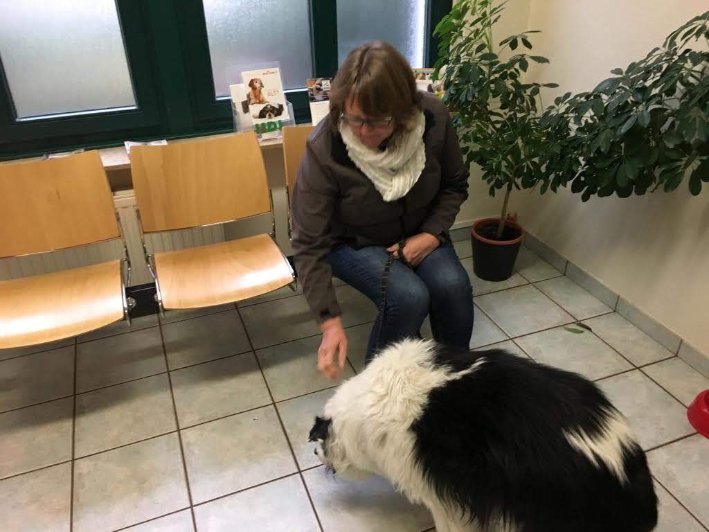 Tierärztliche Gemeinschaftspraxis Beeke & Grijsen